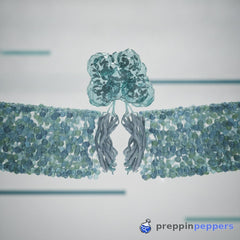 Why your GLP-1 peptide degrades before your assay does