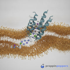 Your GLP-1 samples are degrading faster than you think
