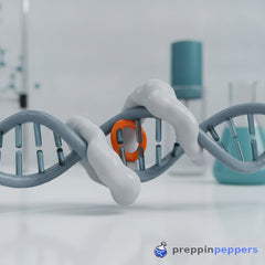 Why your AP-site DNA templates slip when you least expect it