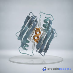 Why the GLP-1 rush makes your peptide sourcing riskier