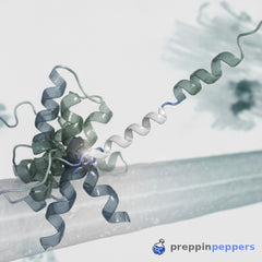 Why GLP-1's mechanism matters for your reconstitution math