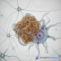 The Alzheimer's plaque review that affects your GLP-1 work