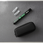 Gansulin pen (studio)