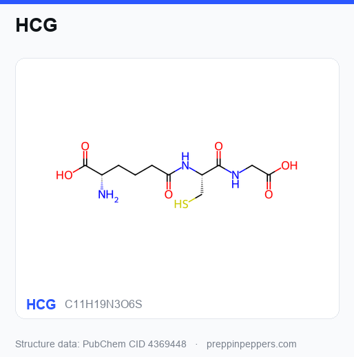 Chemical structure of HCG