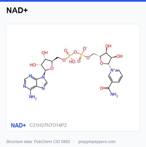 Chemical structure of NAD+